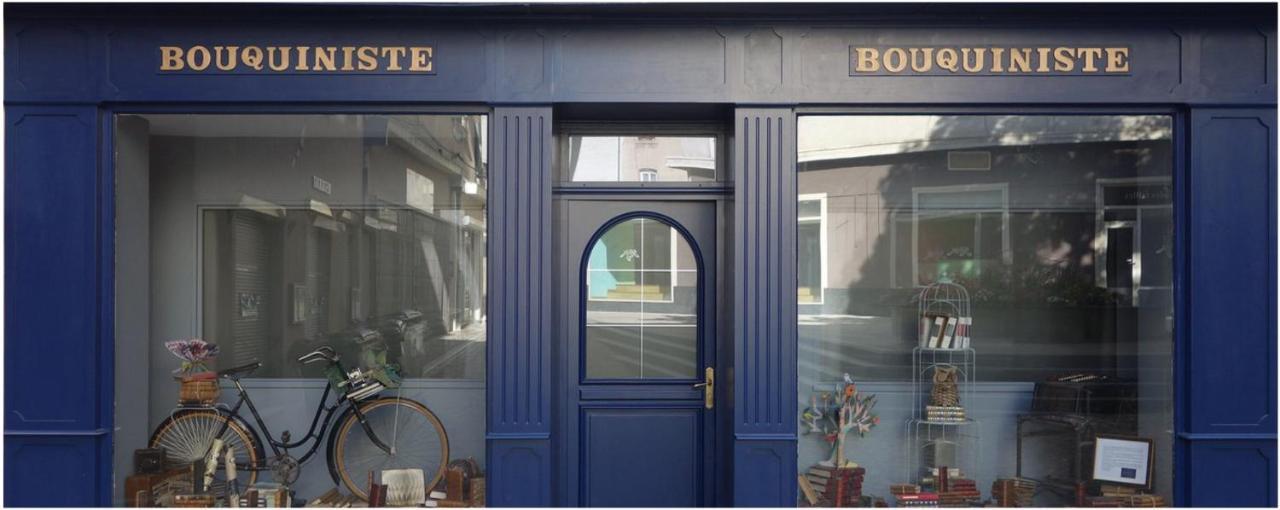 Le Bouquiniste, Centre Historique, Fibre, Ess, Rez-De-Chaussee, Bedinshop 伊泽尔河畔的罗曼 外观 照片