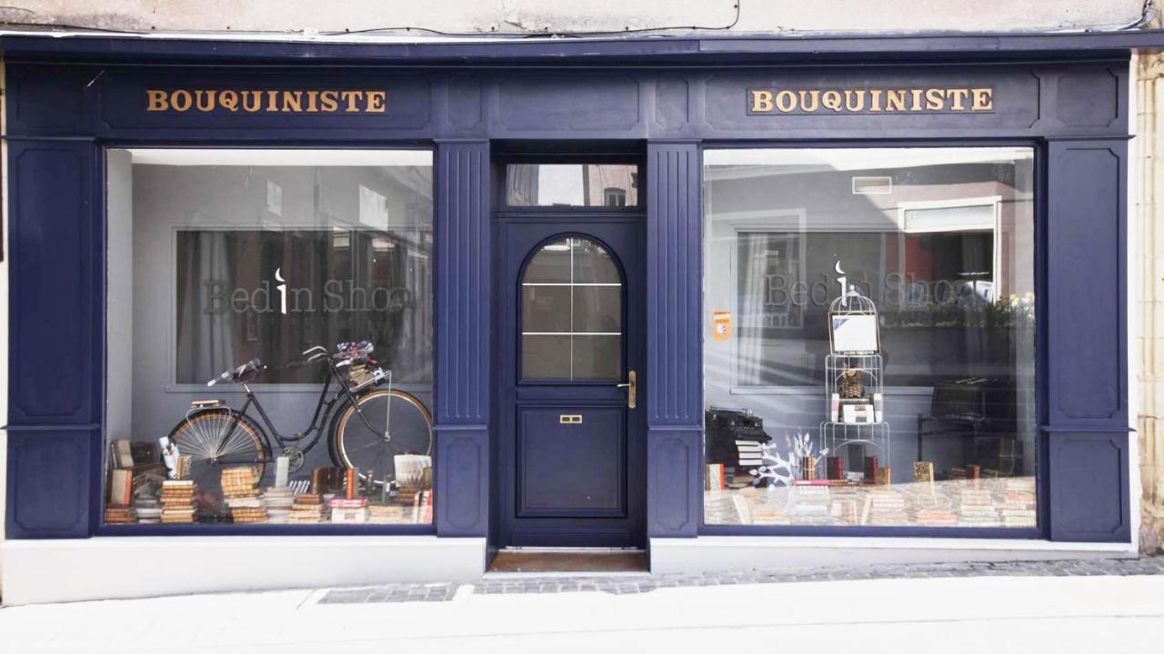 Le Bouquiniste, Centre Historique, Fibre, Ess, Rez-De-Chaussee, Bedinshop 伊泽尔河畔的罗曼 外观 照片