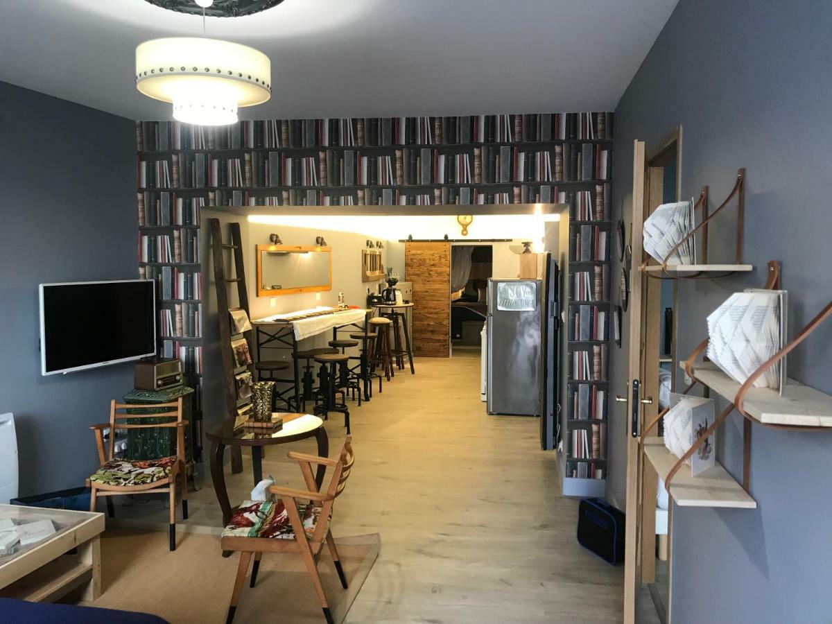 Le Bouquiniste, Centre Historique, Fibre, Ess, Rez-De-Chaussee, Bedinshop 伊泽尔河畔的罗曼 外观 照片