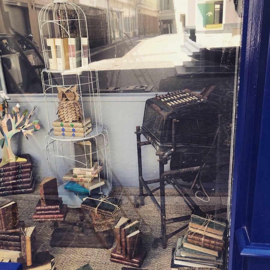 Le Bouquiniste, Centre Historique, Fibre, Ess, Rez-De-Chaussee, Bedinshop 伊泽尔河畔的罗曼 外观 照片